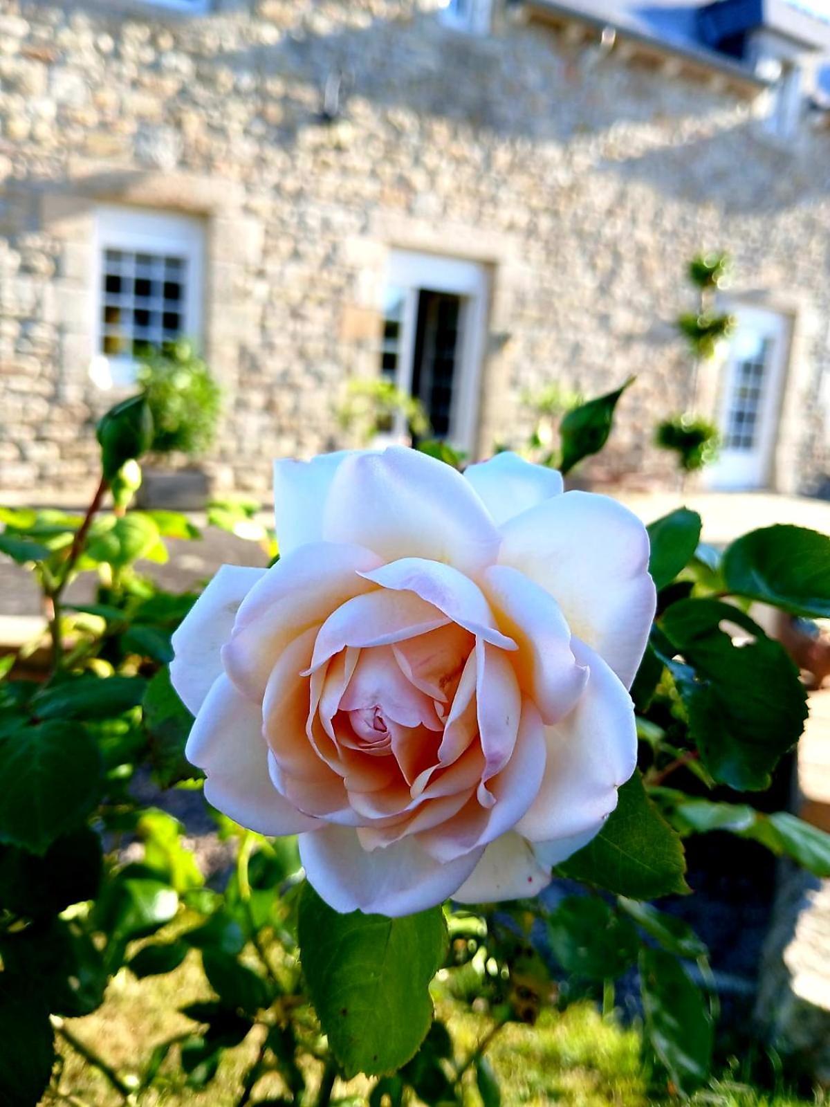 Gite En Campagne Lamegritniere Exterior foto