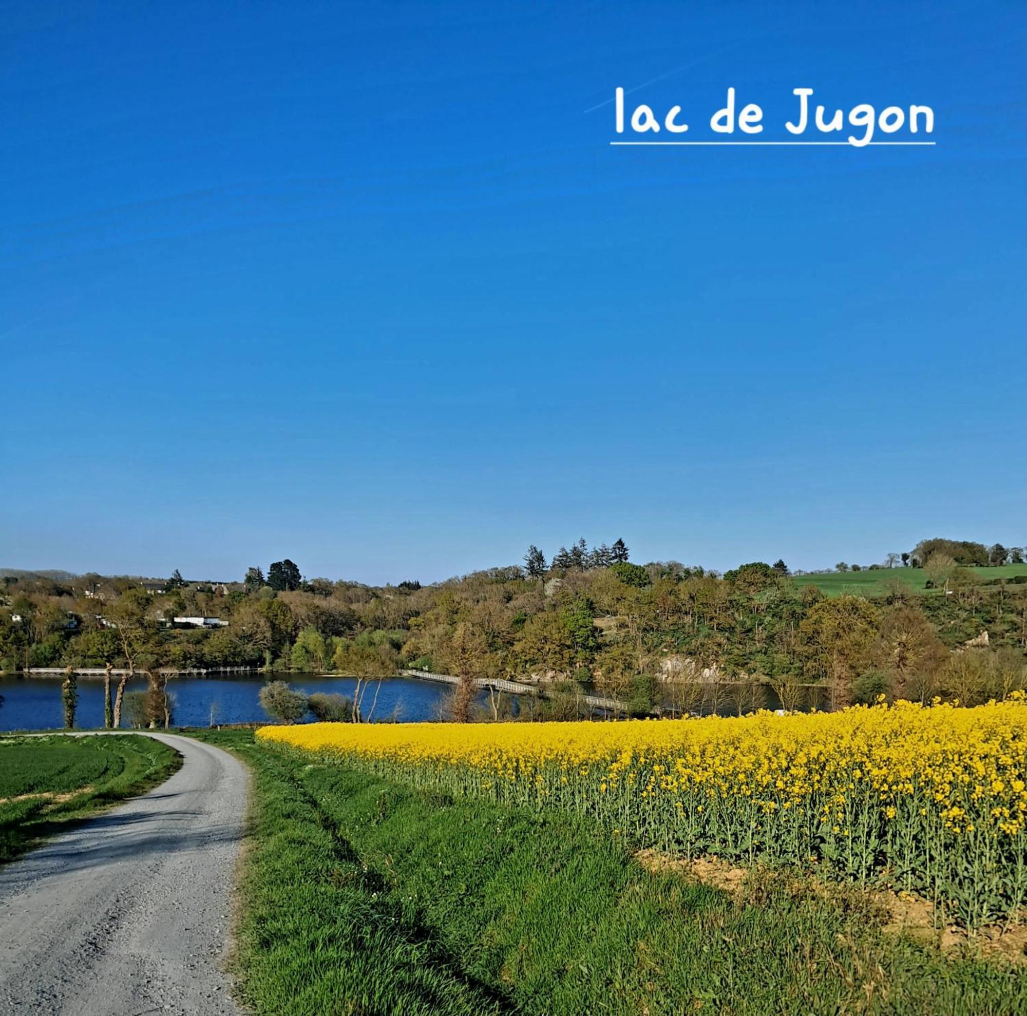 Gite En Campagne Lamegritniere Exterior foto